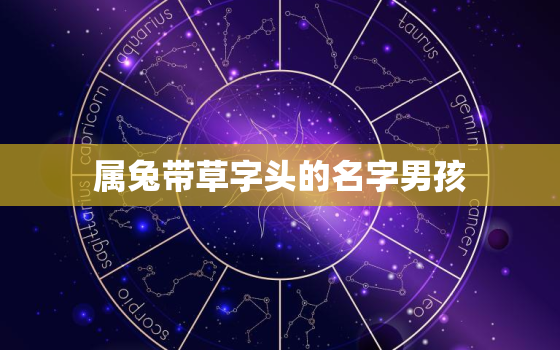 属兔带草字头的名字男孩，草字头加个兔宝宝