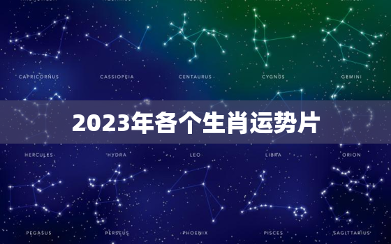 2023年各个生肖运势片，12生肖2023年运势详解