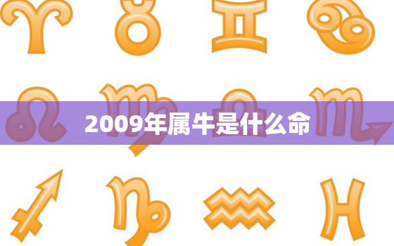 2009年属牛是什么命，2009年属牛是什么命女