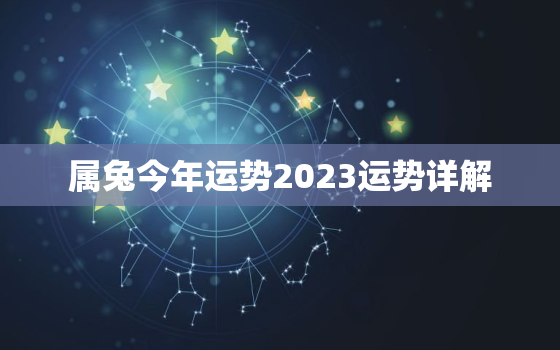 属兔今年运势2023运势详解，属兔2o23年运势