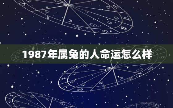 1987年属兔的人命运怎么样，1987年属兔的命运好不好