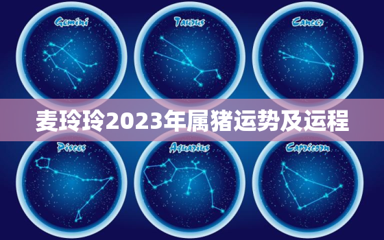 麦玲玲2023年属猪运势及运程，麦玲玲2022属猪