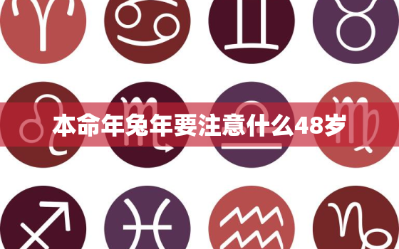 本命年兔年要注意什么48岁，本命年兔子