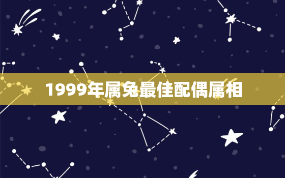 1999年属兔最佳配偶属相，1999年属兔最佳配偶属相男