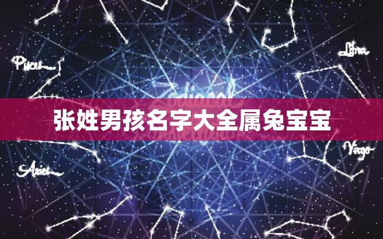 张姓男孩名字大全属兔宝宝，张姓男孩名字大全属兔宝宝起名