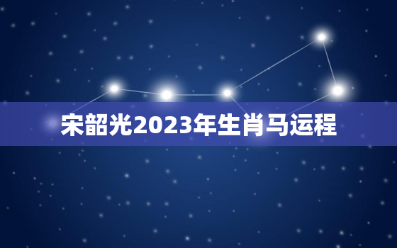 宋韶光2023年生肖马运程，宋韶光2020年马年生肖运程