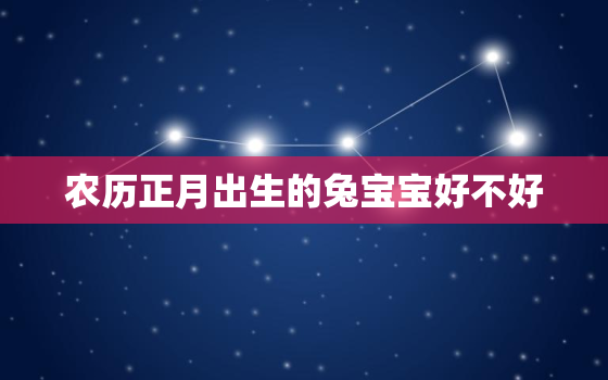 农历正月出生的兔宝宝好不好，农历正月的兔子命运如何