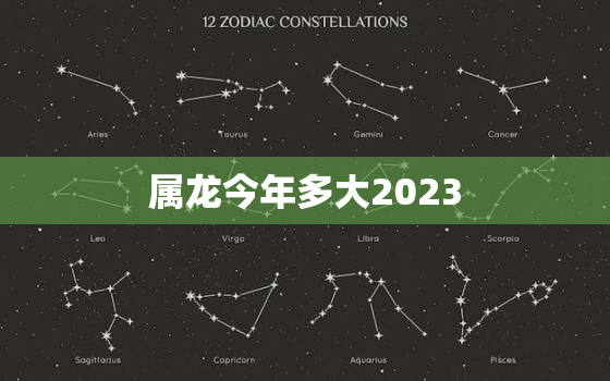 属龙今年多大2023，属龙今年多大2020虚岁