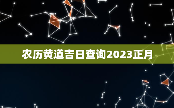 农历黄道吉日查询2023正月，农历二0二二年正月黄道吉日