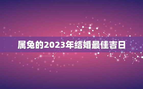 属兔的2023年结婚最佳吉日，2023年属兔结婚如何