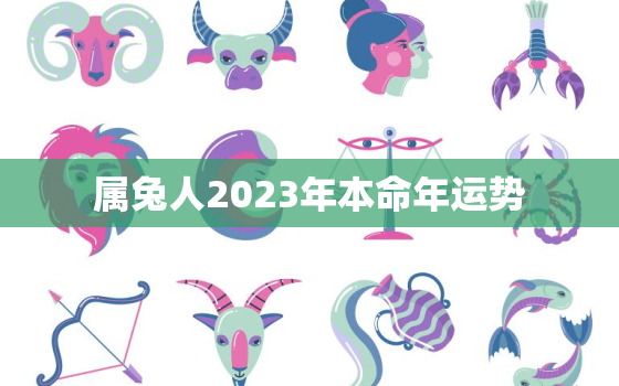 属兔人2023年本命年运势，属兔人2023年本命年运势男性