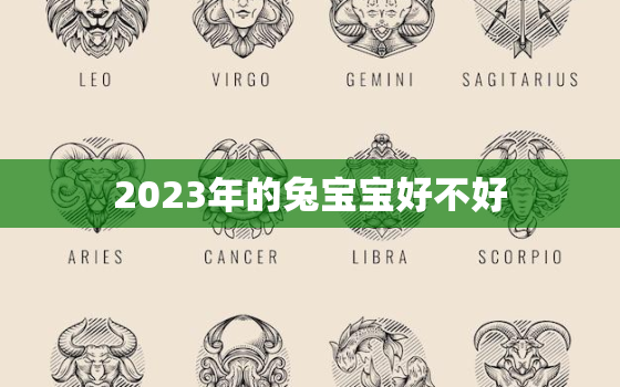 2023年的兔宝宝好不好，2023年黑兔年适合生孩子吗