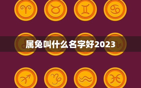 属兔叫什么名字好2023，属兔叫什么名字好2023年运势