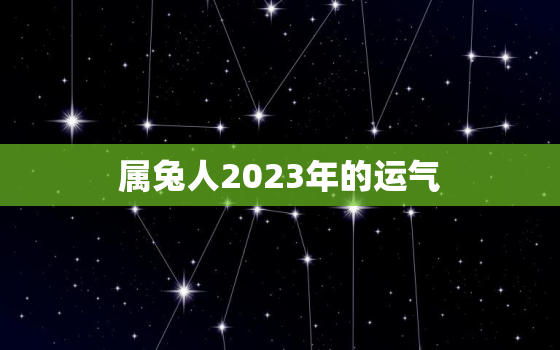 属兔人2023年的运气，属兔2023年运势及运程_2023年属兔人的全年运势