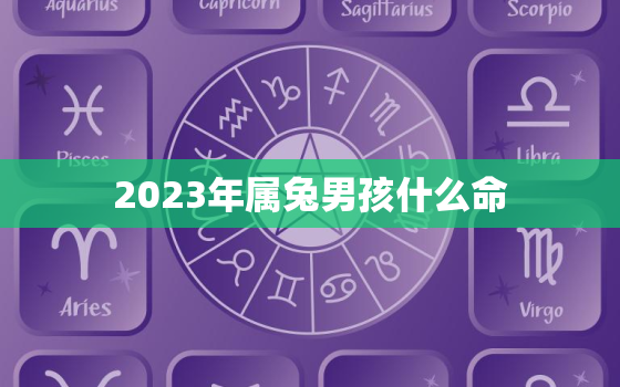 2023年属兔男孩什么命，2023年属兔男孩什么命格