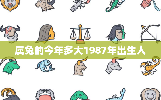 属兔的今年多大1987年出生人，属兔的今年多大几几年生的