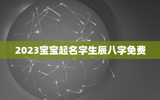 2023宝宝起名字生辰八字免费，2021年宝宝起名字免费