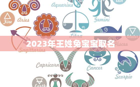 2023年王姓兔宝宝取名，王姓兔宝宝名字大全