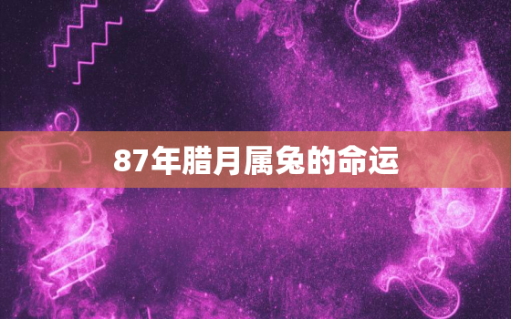 87年腊月属兔的命运，87年腊月的兔2021年运势