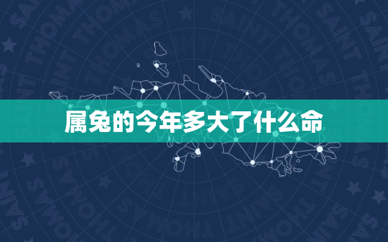 属兔的今年多大了什么命，属兔的今年多大了多少岁了