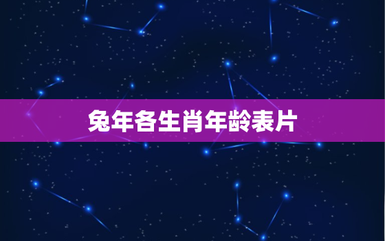 兔年各生肖年龄表片，兔年的生肖表