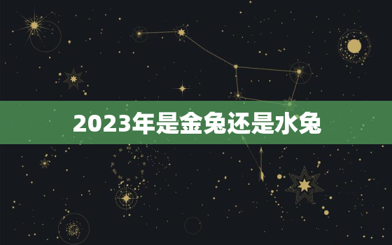 2023年是金兔还是水兔，2024年是木龙还是水龙