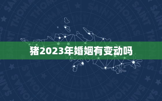 猪2023年婚姻有变动吗，猪2023年婚姻有变动吗女