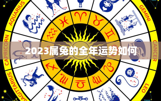 2023属兔的全年运势如何，2023年属兔人的运势