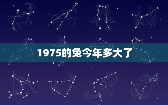 1975的兔今年多大了，1975属兔今年几岁