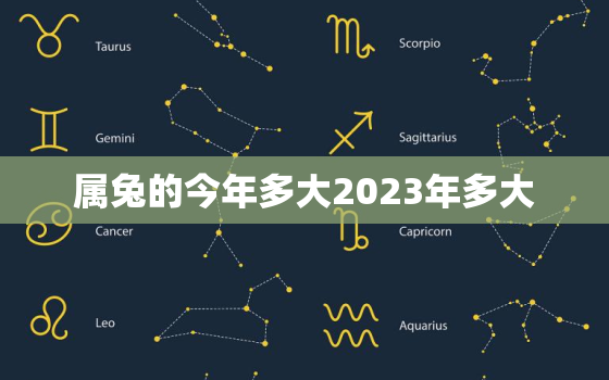 属兔的今年多大2023年多大，2021年属兔今年多大年龄了?