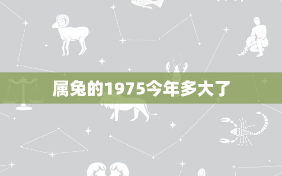 属兔的1975今年多大了，1975属兔今年几岁