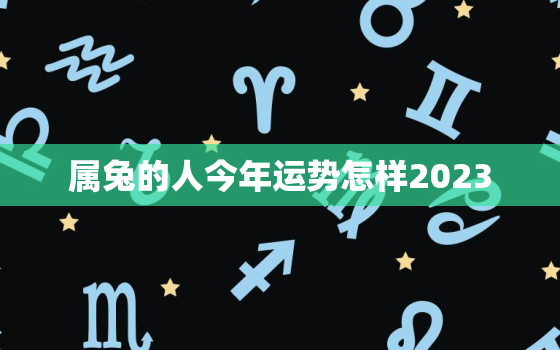 属兔的人今年运势怎样2023，属兔的人今年运势怎样2023年结婚