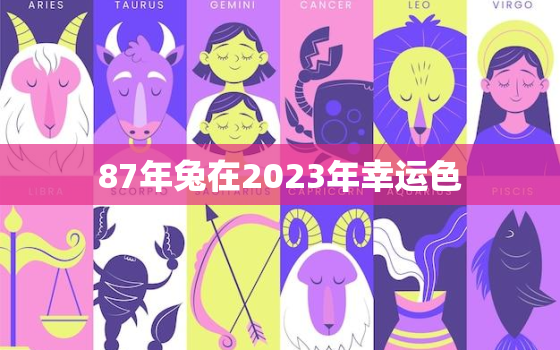 87年兔在2023年幸运色，87年兔2020年幸运颜色