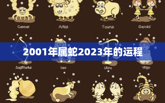 2001年属蛇2023年的运程，2001年蛇男2023年运势
