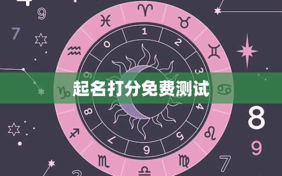 起名打分免费测试，起名打分测试100分免费打分