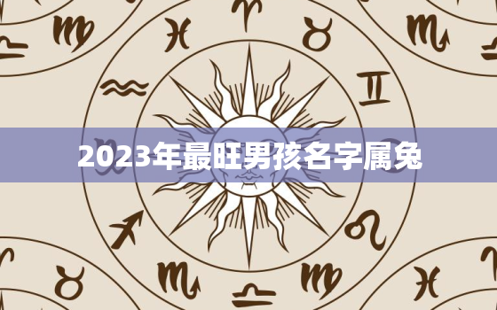 2023年最旺男孩名字属兔，2023年兔年男孩是什么命