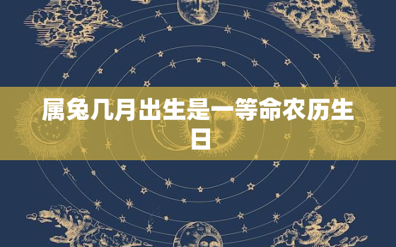 属兔几月出生是一等命农历生日，属兔的几月出生最好农历还是新历