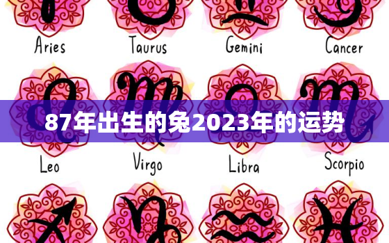 87年出生的兔2023年的运势，87年的兔2023年运势怎么样