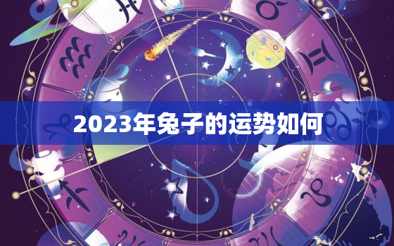 2023年兔子的运势如何，2023年兔人全年运势