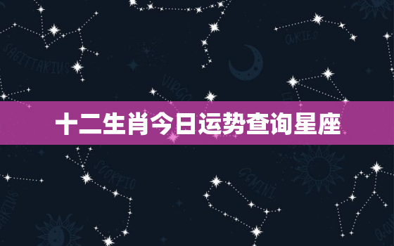 十二生肖今日运势查询星座，今日偏财运最旺生肖