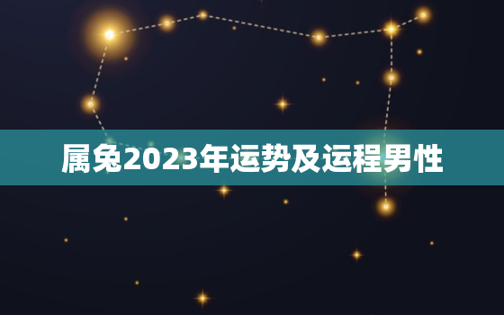 属兔2023年运势及运程男性，属兔2023年运势及运程_2021年属兔人的全年运势