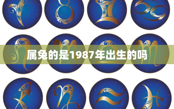 属兔的是1987年出生的吗，属兔的是1987年出生的吗男孩