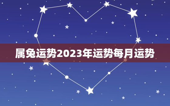 属兔运势2023年运势每月运势，属兔2023年运势及运程_2021年属兔人的全年运势