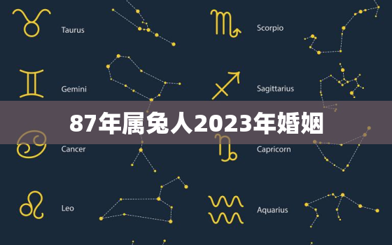 87年属兔人2023年婚姻，87年兔在2023年怎么样