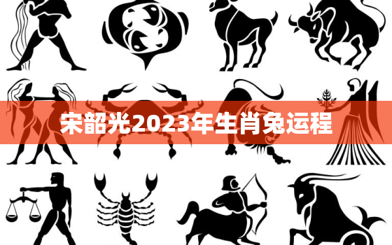 宋韶光2023年生肖兔运程，宋韶光2021年属兔的运程