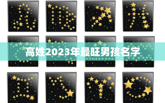 高姓2023年最旺男孩名字，2021年姓高
宝的名字