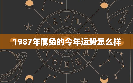 1987年属兔的今年运势怎么样，1987年属兔人今年的运气和财运