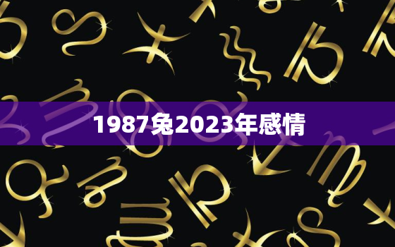 1987兔2023年感情，2023年87年兔