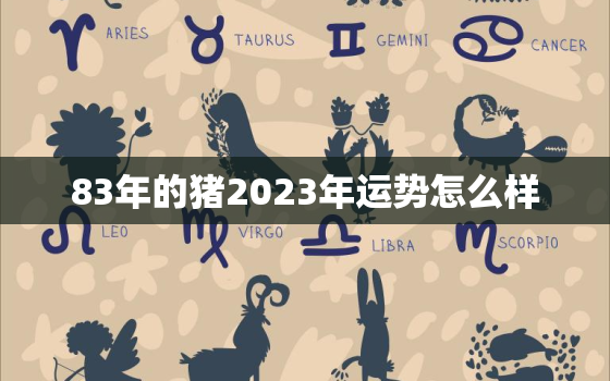 83年的猪2023年运势怎么样，83年猪2023年运势怎么样女