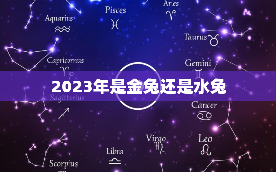 2023年是金兔还是水兔，2023年兔宝宝几月出生最好